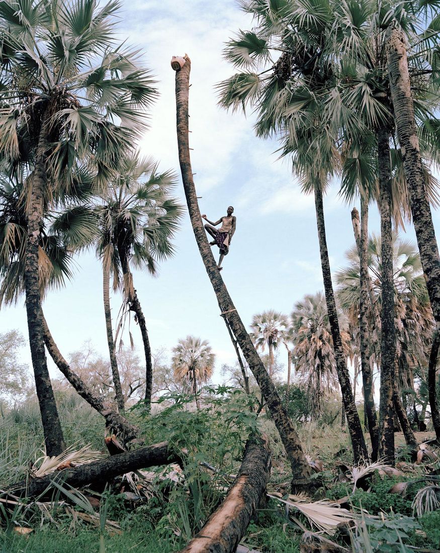Kyle Weeks Portrays the Men Who Extract Sap from Namibia's Palms | Fotografia Magazine