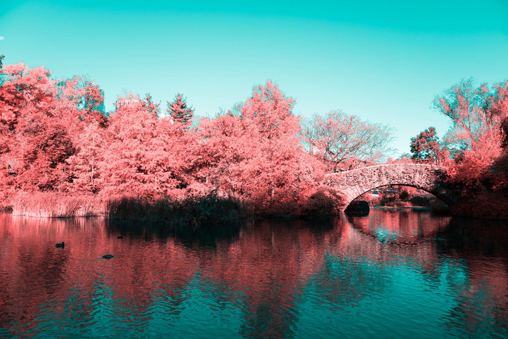 Infrared Photos Transform NYC Into a Technicolor Dreamland | WIRED