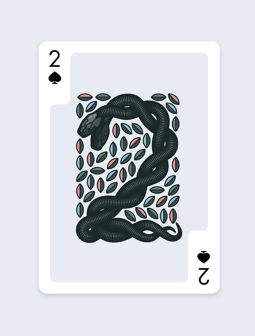 ♠ Playing Arts – 2 of Spades ♠ on Behance
