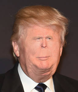 Tiny Face Trump