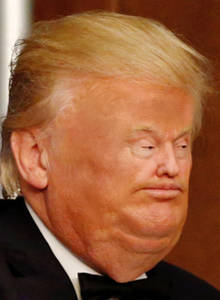 Tiny Face Trump