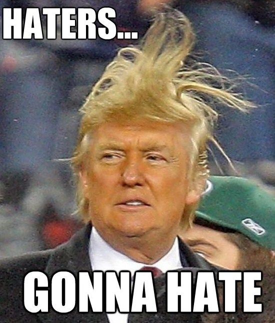 Donald-Trump-Donald-Trump-Haters-Gonna-Hate-Picture.jpg (550×646)