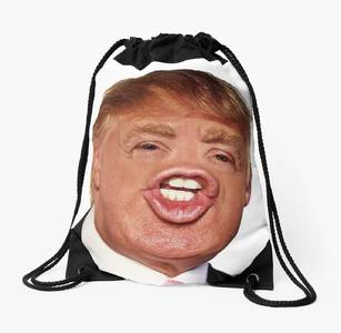 Funny-Donald-Trump-With-Pouting-Face-On-Bag-Picture.jpg (1435×1404)
