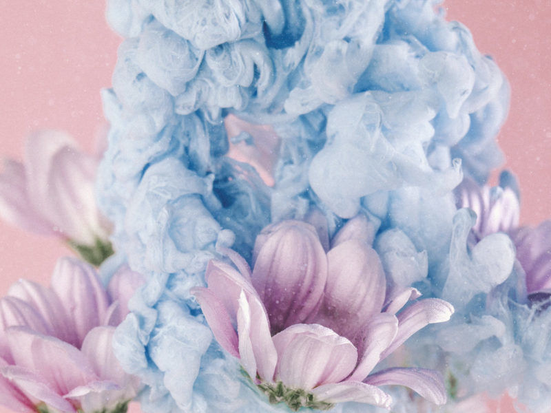 Mixing Paint and Flowers Underwater to Capture Ethereal Macro Photos
