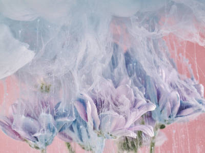 Mixing Paint and Flowers Underwater to Capture Ethereal Macro Photos