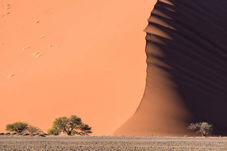 Namib Desert Sea by Nick Lefebvre - Photo 113690069 / 500px
