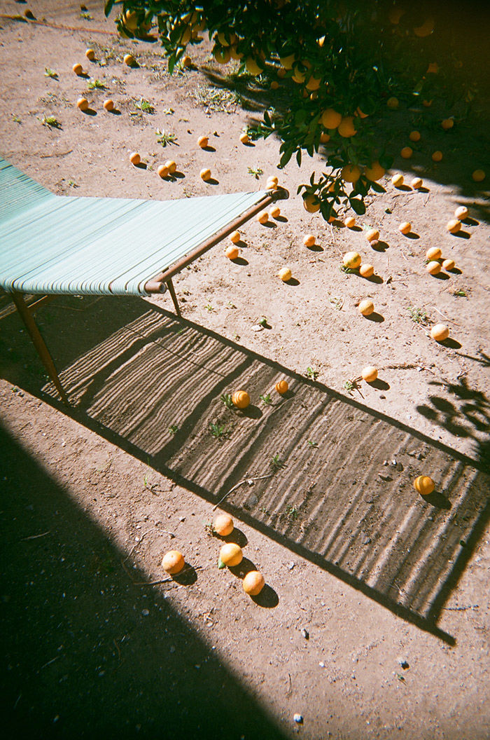 Here's What Happens When Pro Photographers Shoot on Disposable Cameras  The Creators Project