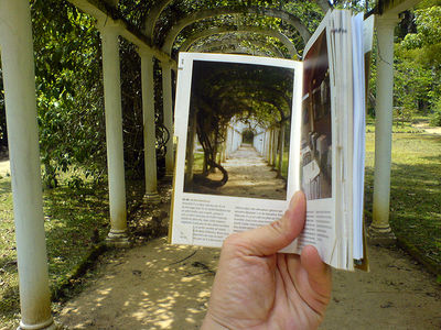 Flickr Photo Download: Encadré (Jardim Botânico, Rio de Janeiro)