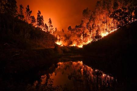 Portugal forest fire - The Boston Globe