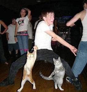 dance cats.jpg 452×480 pixels
