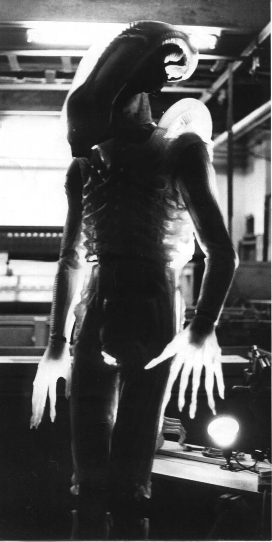 Flickr Photo Download: Translucent Alien Costume