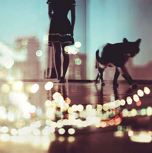 city lights on Flickr - Photo Sharing!